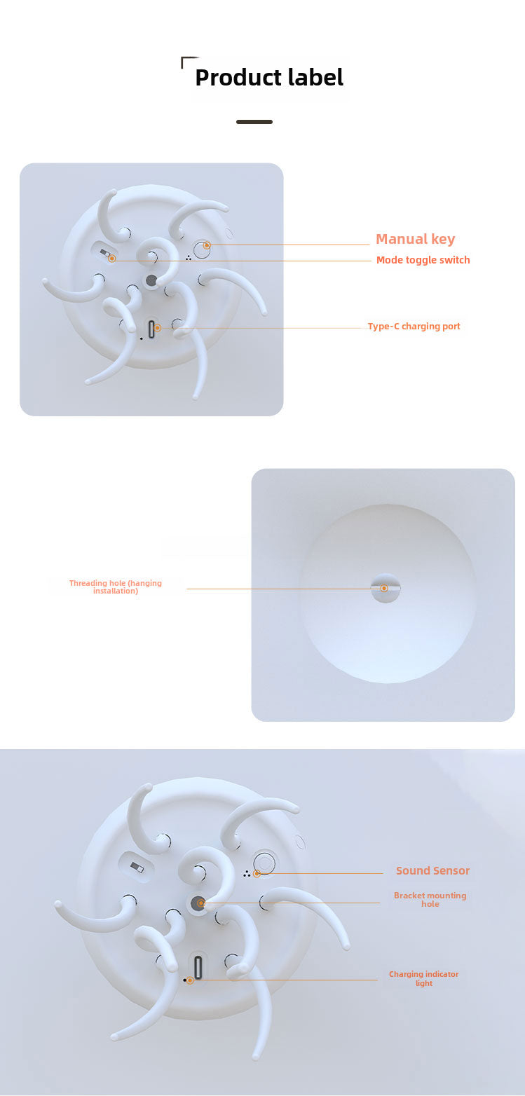 Jellyfish lamp with labeled parts on a white background